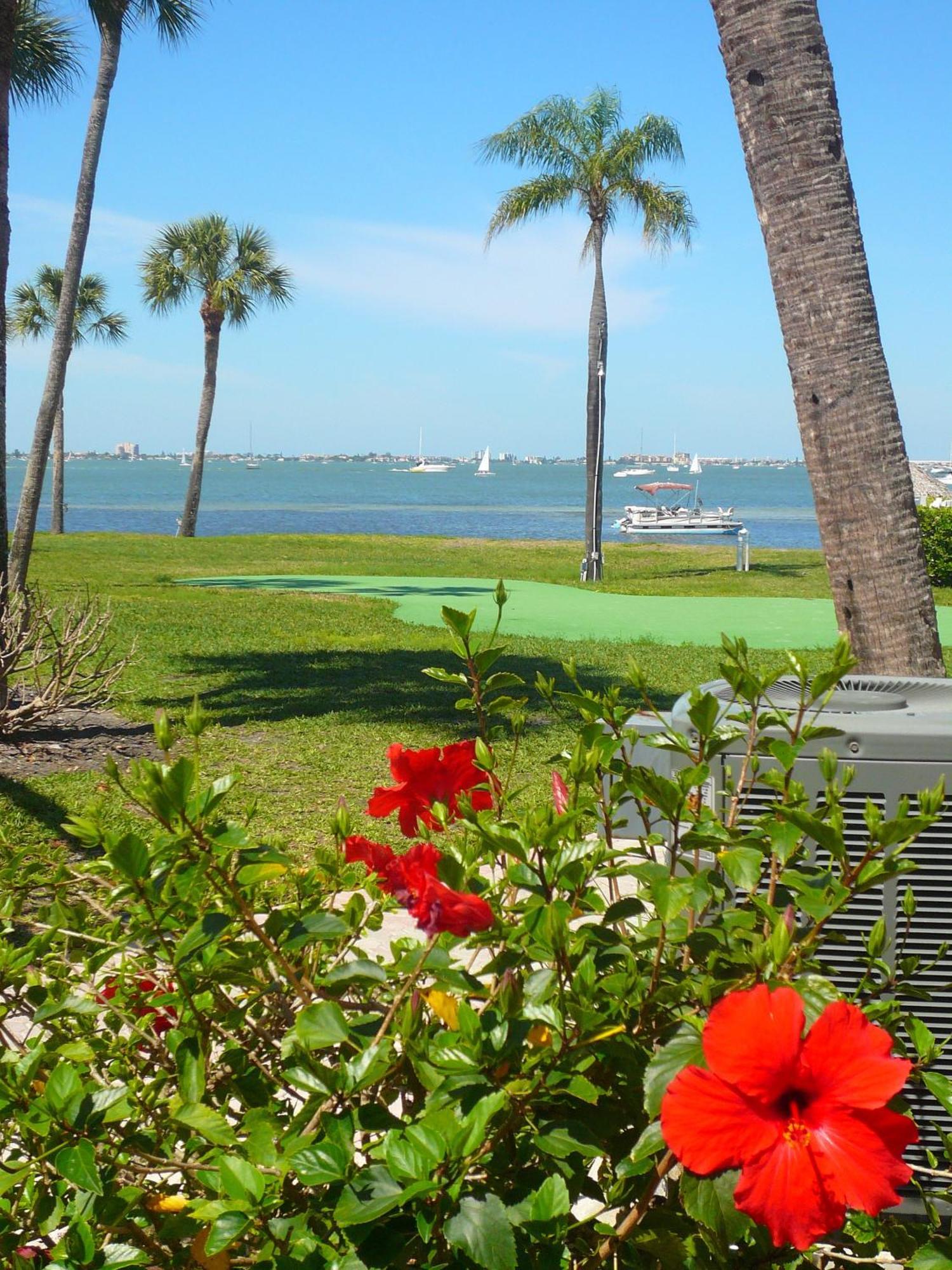 Affordable Two Bedroom Tropical Condo - Private Beach, Pools, Hot Tub St. Petersburg Exteriér fotografie