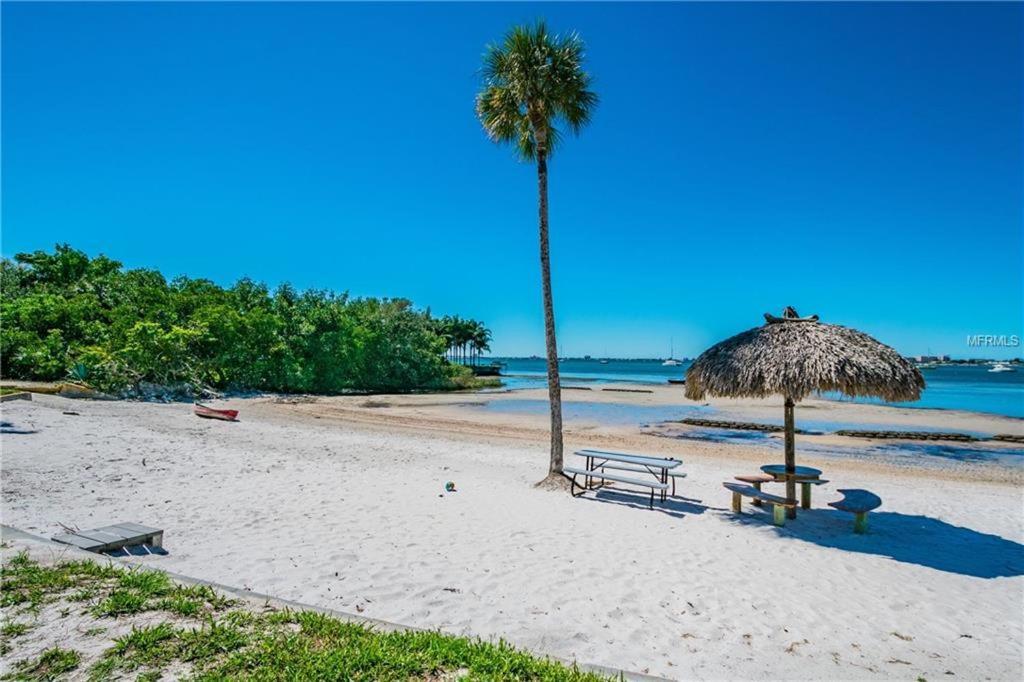 Affordable Two Bedroom Tropical Condo - Private Beach, Pools, Hot Tub St. Petersburg Exteriér fotografie