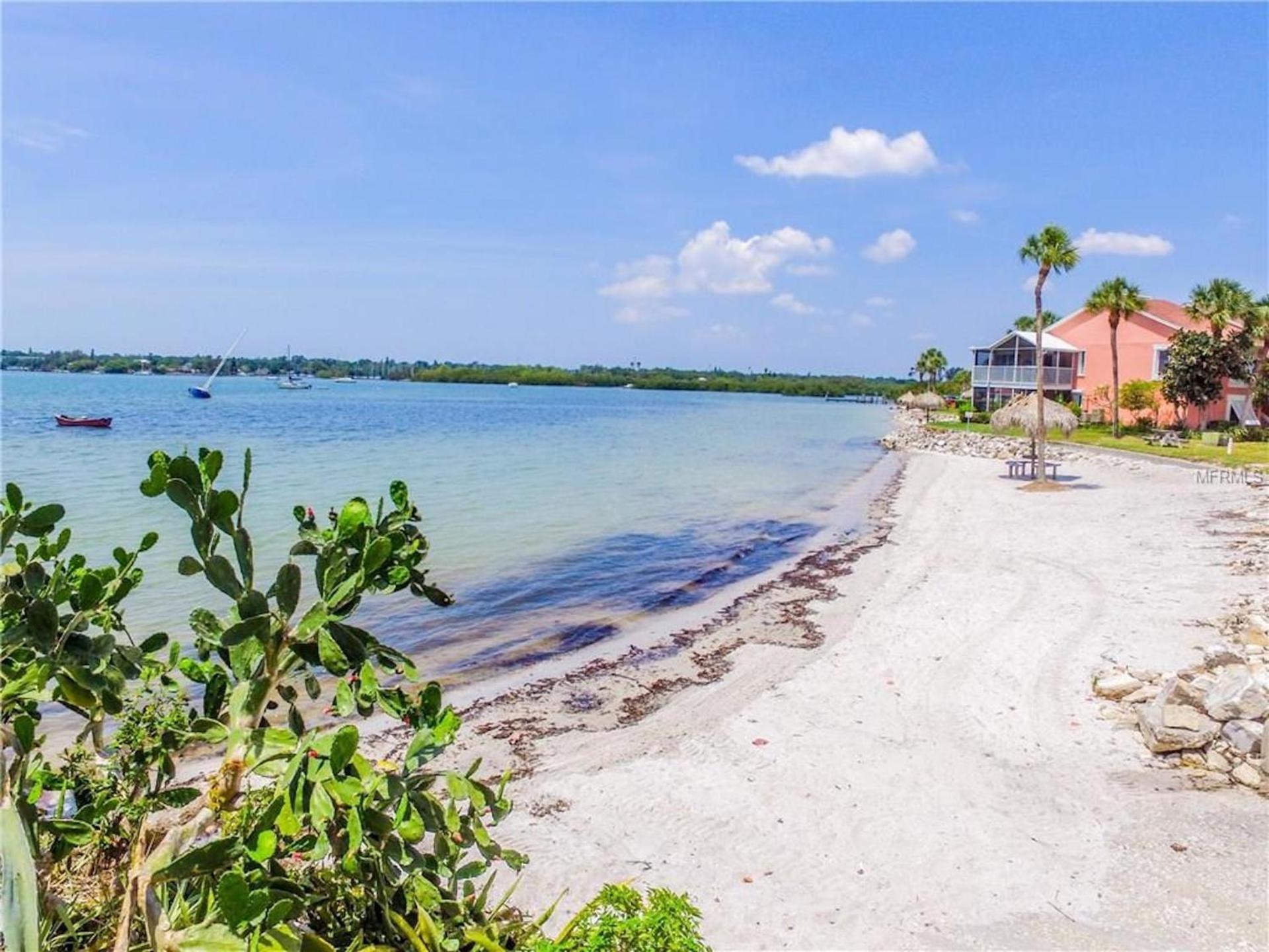Affordable Two Bedroom Tropical Condo - Private Beach, Pools, Hot Tub St. Petersburg Exteriér fotografie
